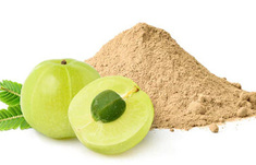 Amla Powder bio 500gr