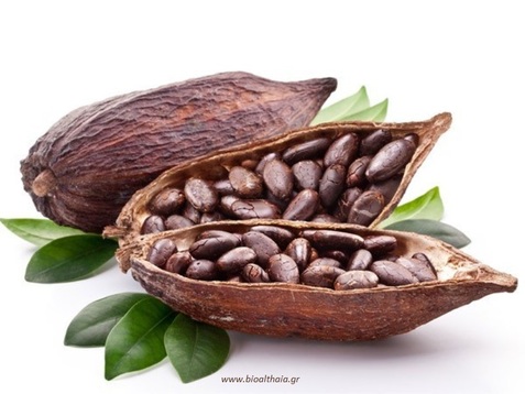 Κακάο σποροι Raw (Cacao beans Raw ) bio HealthTrade 500γρ