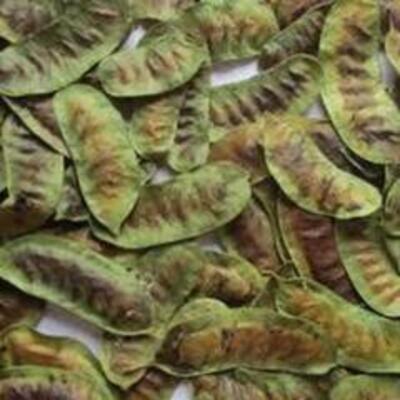 Σιναμική 1000γρ Health Trade