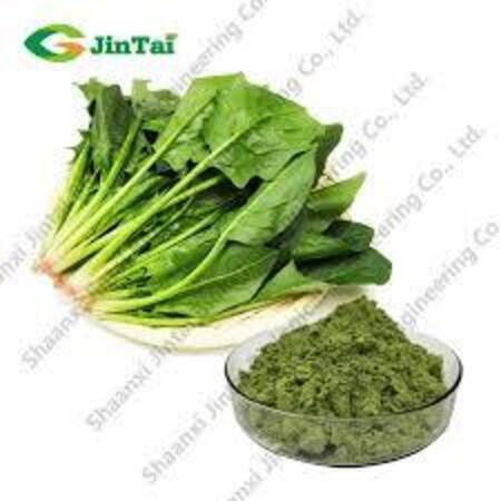 Σπανάκι Σκόνη bio 500γρ