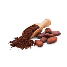Cacao Powder Raw bio 500gr χύμα