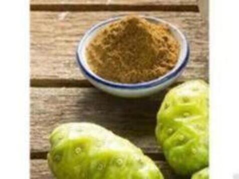 Noni Powder 500γρ Health Trade