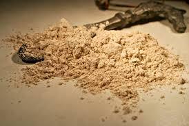 Dong Quai Powder bio 1000gr