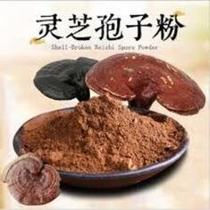 Reishi Mushroom Powder (Γανόδερμα) bio 500gr