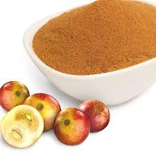 Camu Camu Powder bio 500gr