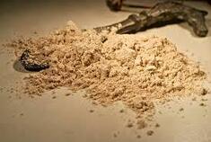 Dong Quai Powder bio 500gr