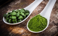 Σπιρουλίνα σκόνη 500gr HealthTrade