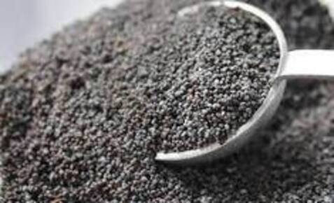 Παπαρουνόσπορος 1000γρ Health Trade