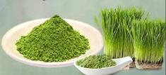 Wheatgrass bio(Σιταρόχορτο) 500γρ