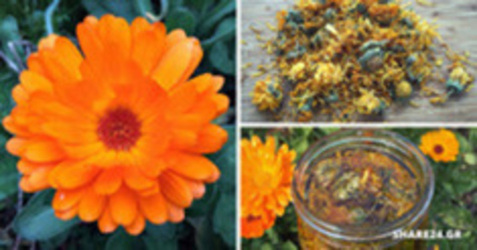 Κράταιγος Φύλλα - Άνθη 1000γρ Health Trade