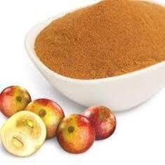 Camu Camu Powder bio 500gr Health Trade