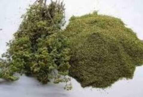 Ρίγανη Ελληνική Μάτσο 1000γρ Health Trade