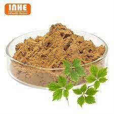 Gynostemma Powder 500gr