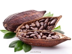 Κακάο σποροι Raw (Cacao beans Raw ) bio HealthTrade 500γρ
