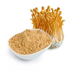 Cordyceps bio 500γρ