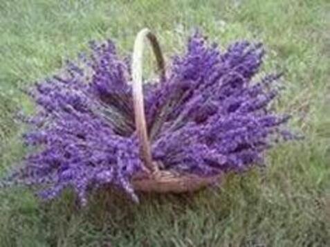 Λεβάντα Ανθός 1000γρ Health Trade