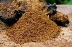 Chaga Mushroom Powder  bio 500gr
