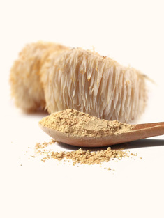 Lion's Manne Powder 500gr